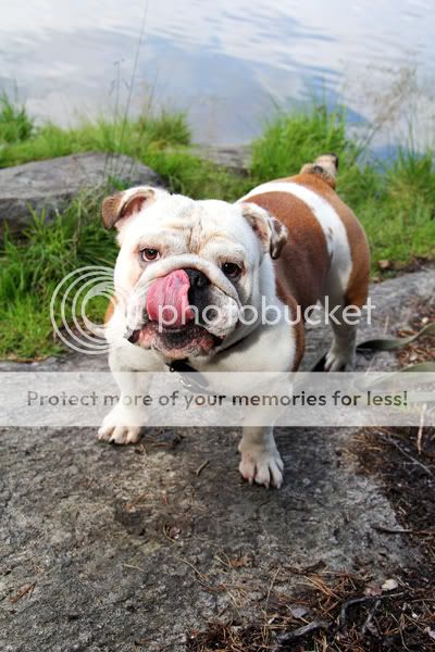 Photobucket