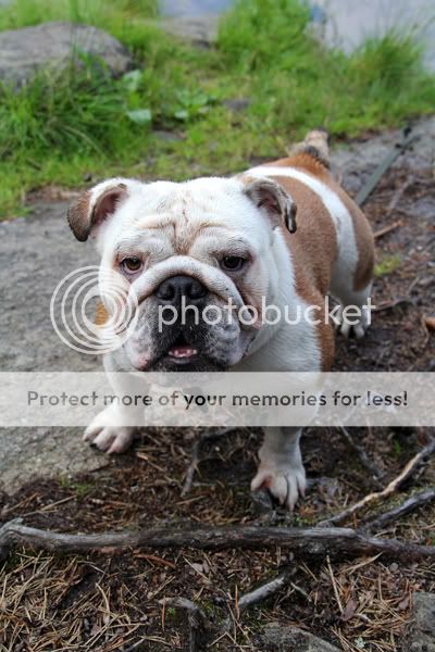 Photobucket