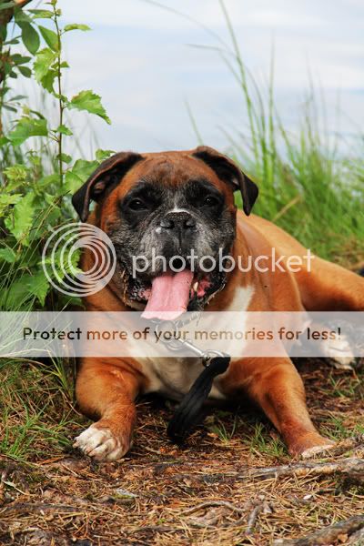 Photobucket