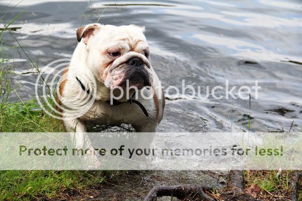 Photobucket