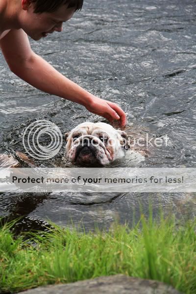 Photobucket