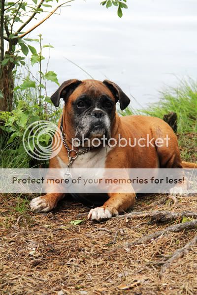Photobucket