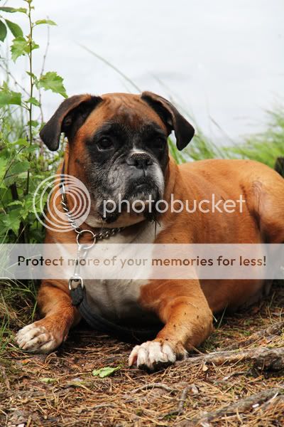 Photobucket