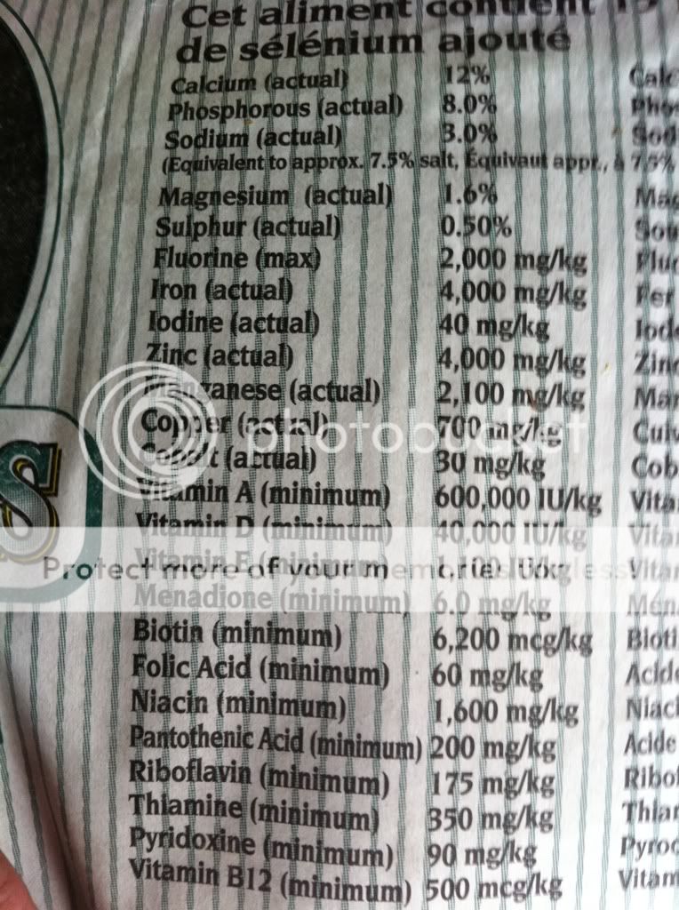 Horse Mineral - Goats