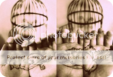 bird Pictures, Images and Photos