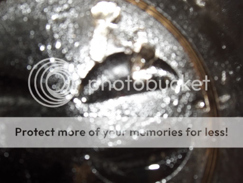 HPIM2608.jpg?t=1225139923