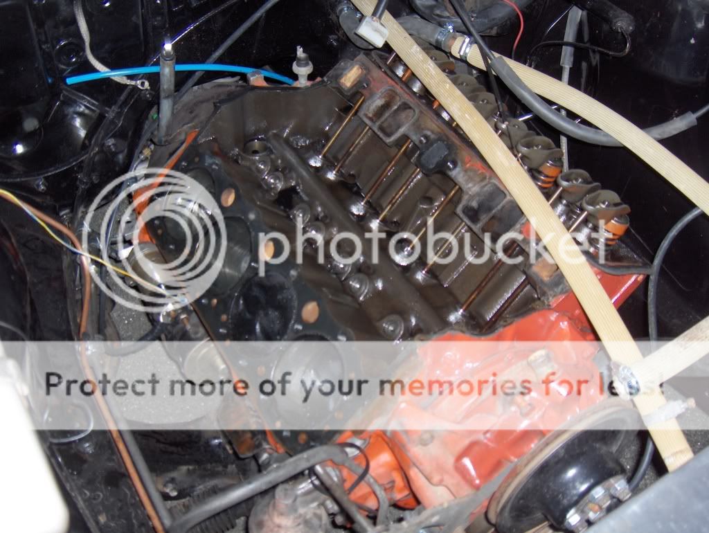 HPIM2609.jpg?t=1225139908