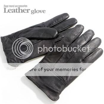 [GẤP] Tìm mua găng tay da