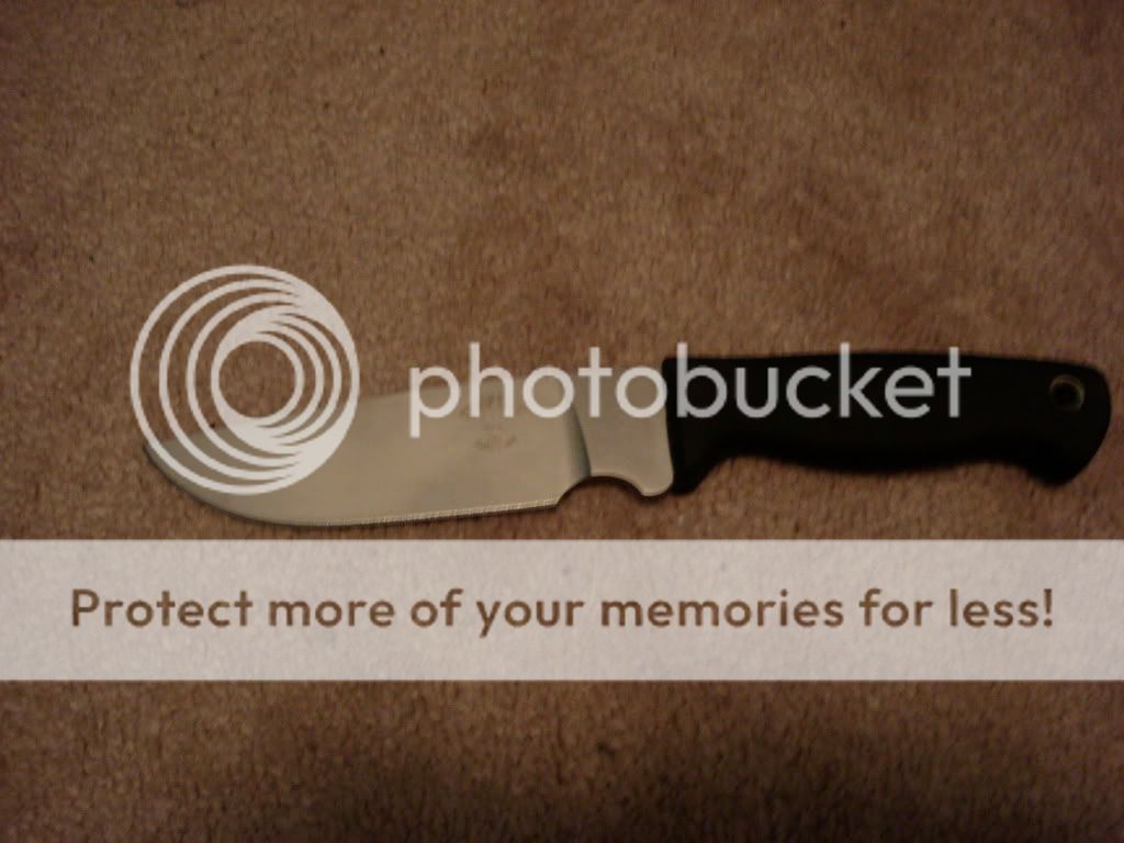 [Linked Image from i378.photobucket.com]