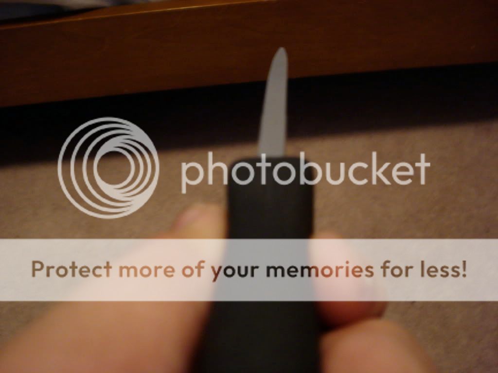 [Linked Image from i378.photobucket.com]