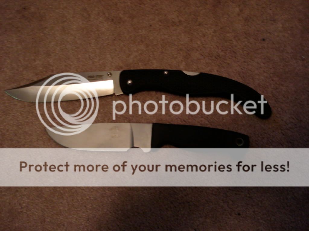 [Linked Image from i378.photobucket.com]