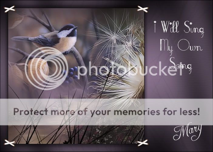 01bird.jpg picture by nequinha1