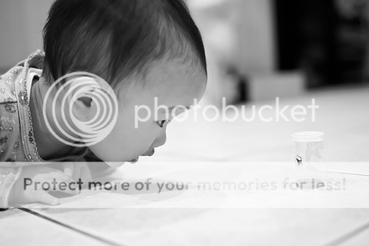 IMAGE: http://i378.photobucket.com/albums/oo230/alan_u1971/4H8R7278_1024.jpg