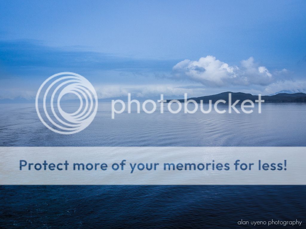 IMAGE: http://i378.photobucket.com/albums/oo230/alan_u1971/Alaska_May_2012/P5230097.jpg