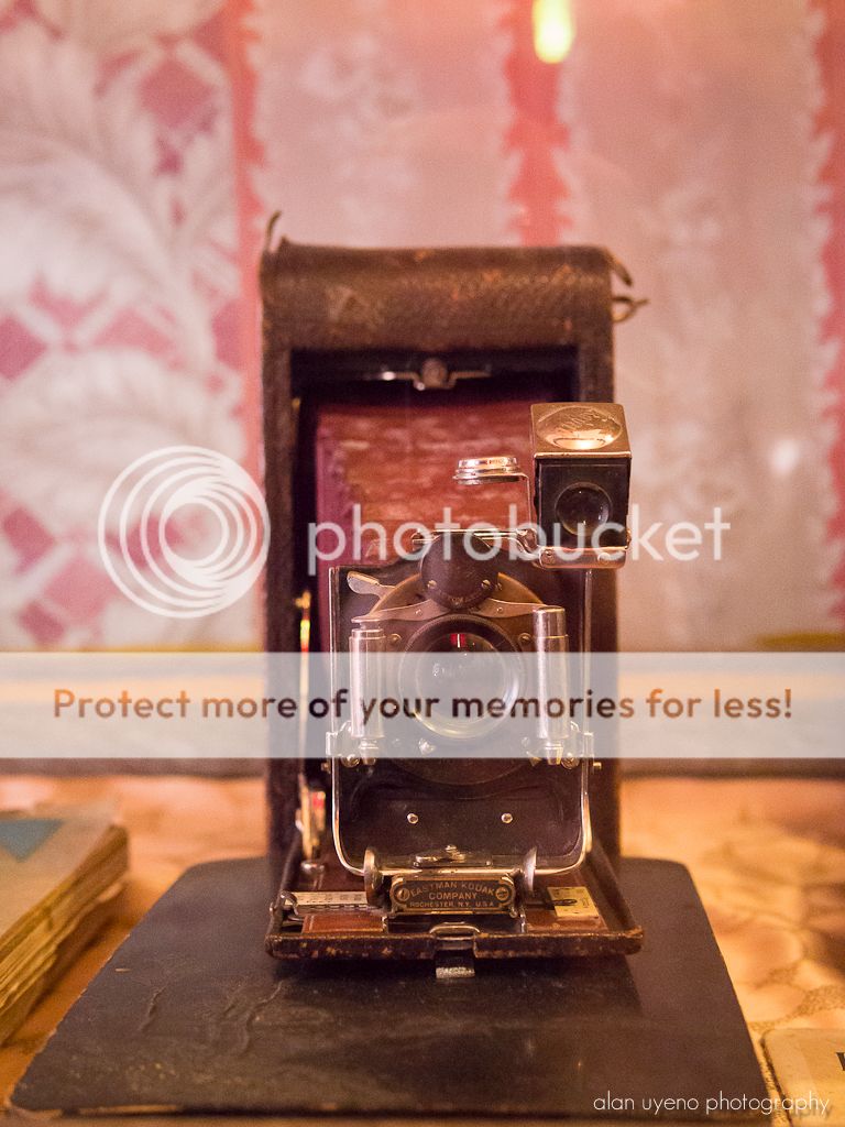 IMAGE: http://i378.photobucket.com/albums/oo230/alan_u1971/Alaska_May_2012/P5240119.jpg