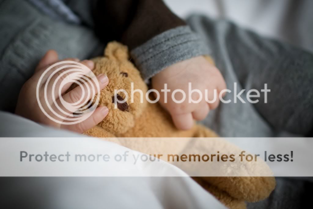 IMAGE: http://i378.photobucket.com/albums/oo230/alan_u1971/Amy_junior/juniorwithteddy2.jpg