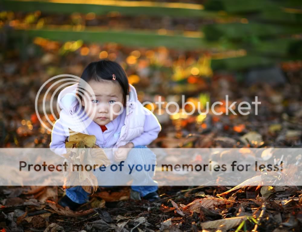 IMAGE: http://i378.photobucket.com/albums/oo230/alan_u1971/Ellaphotoshoot/ellasittingwithleaves-11024x768.jpg