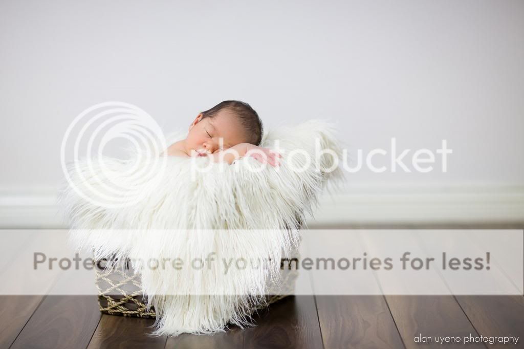 IMAGE: http://i378.photobucket.com/albums/oo230/alan_u1971/Julia/IMG_0645_PS.jpg