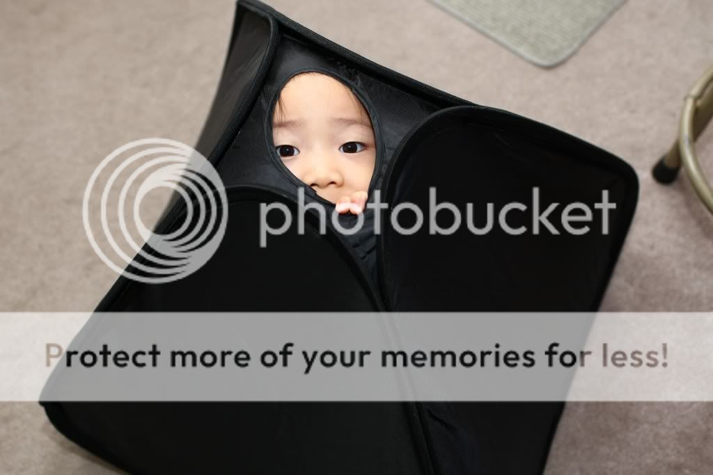 IMAGE: http://i378.photobucket.com/albums/oo230/alan_u1971/Webpics/4H8R0172.jpg