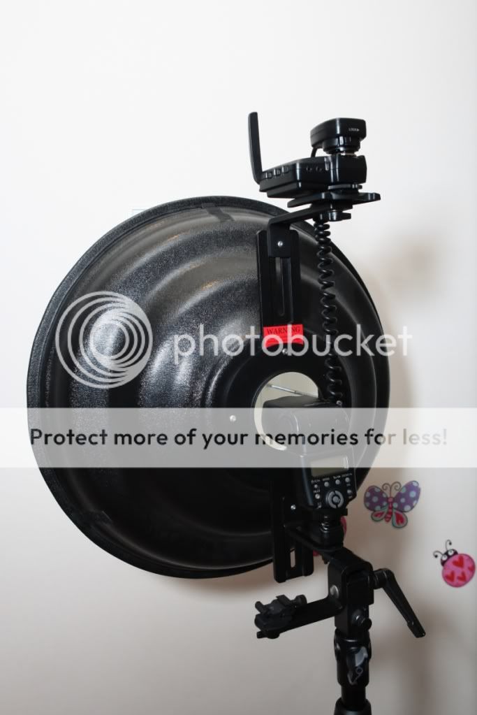 IMAGE: http://i378.photobucket.com/albums/oo230/alan_u1971/Webpics/4H8R0913.jpg