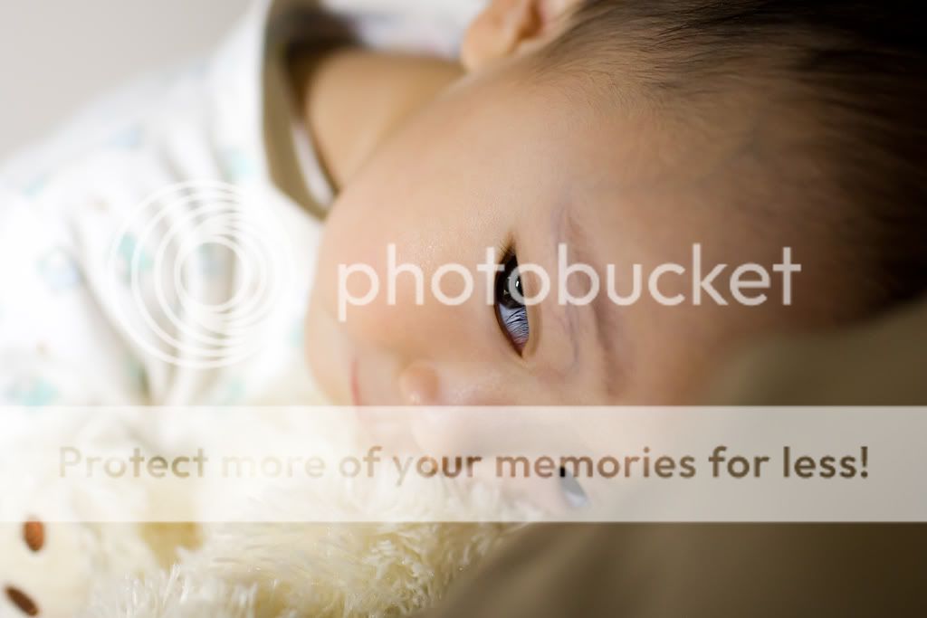 IMAGE: http://i378.photobucket.com/albums/oo230/alan_u1971/Webpics/4H8R1100_1024.jpg