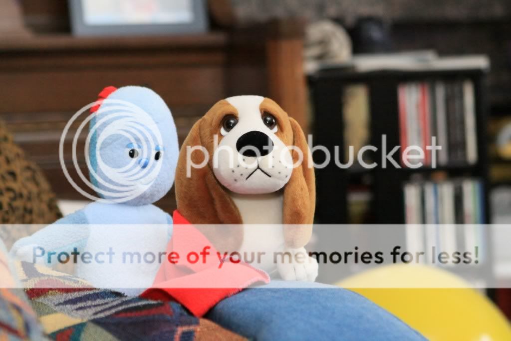 IMAGE: http://i378.photobucket.com/albums/oo230/alan_u1971/Webpics/IMG_25761024x768.jpg