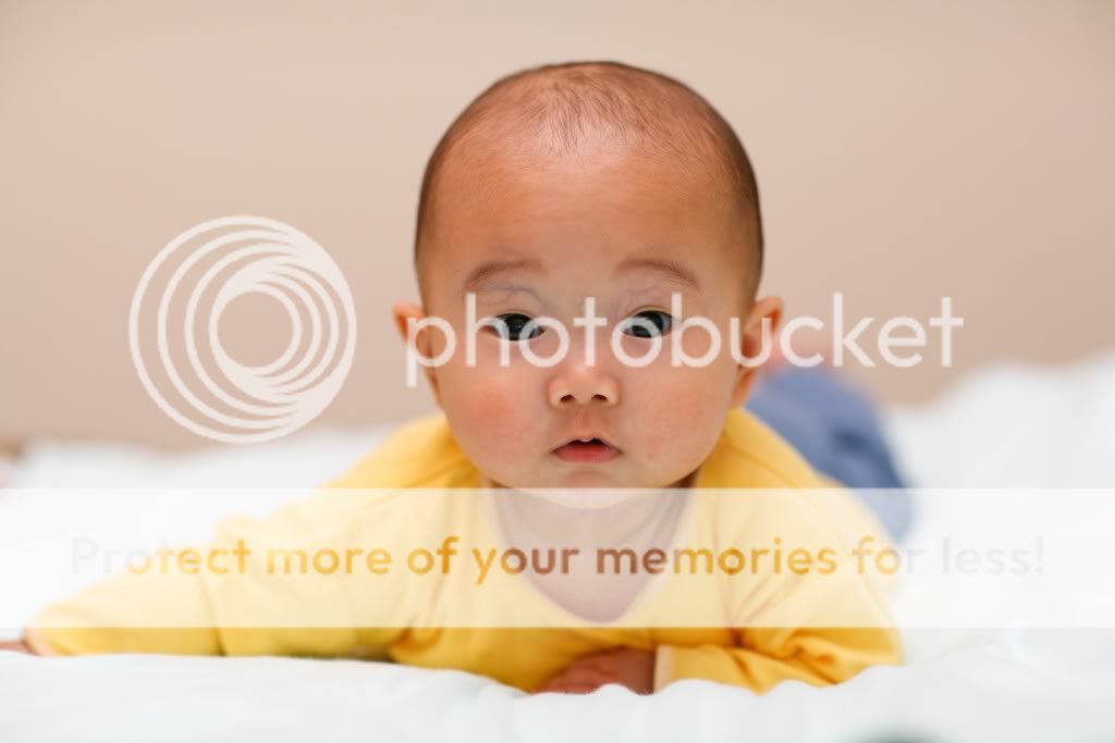 IMAGE: http://i378.photobucket.com/albums/oo230/alan_u1971/Webpics/littlekeira2-11024x768.jpg