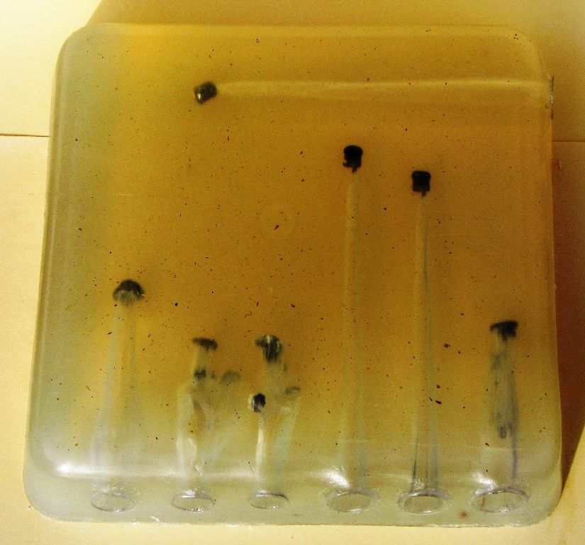 How Long Does Homemade Ballistics Gel Last Homemade Ftempo